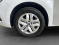 Renault Kangoo TCe 130 EDITION ONE Sitz.Pak. Wit - thumbnail 24