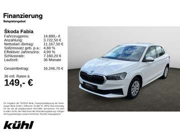 1.0 TSI Active PDC hinten,SHZ.,