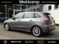 Mercedes-Benz B 250 B 250 Progressive+AHK+Kamera+Memory+Distronic Grau - thumbnail 23