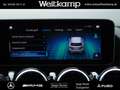 Mercedes-Benz B 250 B 250 Progressive+AHK+Kamera+Memory+Distronic Grau - thumbnail 14