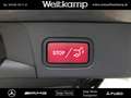 Mercedes-Benz B 250 B 250 Progressive+AHK+Kamera+Memory+Distronic Grau - thumbnail 8