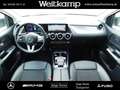 Mercedes-Benz B 250 B 250 Progressive+AHK+Kamera+Memory+Distronic Grau - thumbnail 11