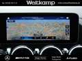 Mercedes-Benz B 250 B 250 Progressive+AHK+Kamera+Memory+Distronic Grau - thumbnail 12