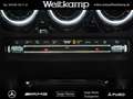 Mercedes-Benz B 250 B 250 Progressive+AHK+Kamera+Memory+Distronic Grau - thumbnail 16