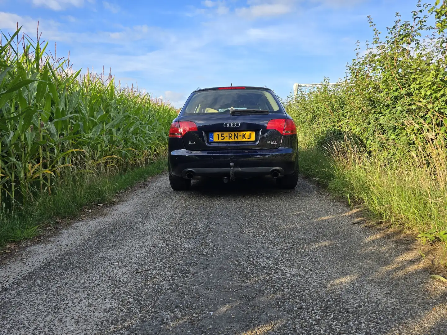 Audi A4 2.0 TFSI q. Pro Line Blauw - 2