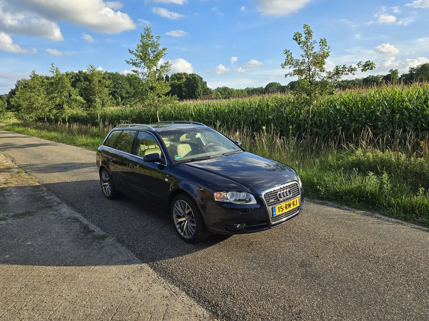 Audi A4 2.0 TFSI q. Pro Line Blauw - 1
