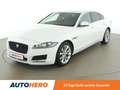 Jaguar XF 20d Prestige Aut. *SPUR*NAVI*CAM* Wit - thumbnail 1