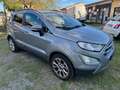 Ford EcoSport 1.0 EcoBoost 125 CV Start&Stop Titanium Grigio - thumbnail 3