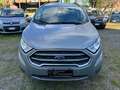 Ford EcoSport 1.0 EcoBoost 125 CV Start&Stop Titanium Grigio - thumbnail 2