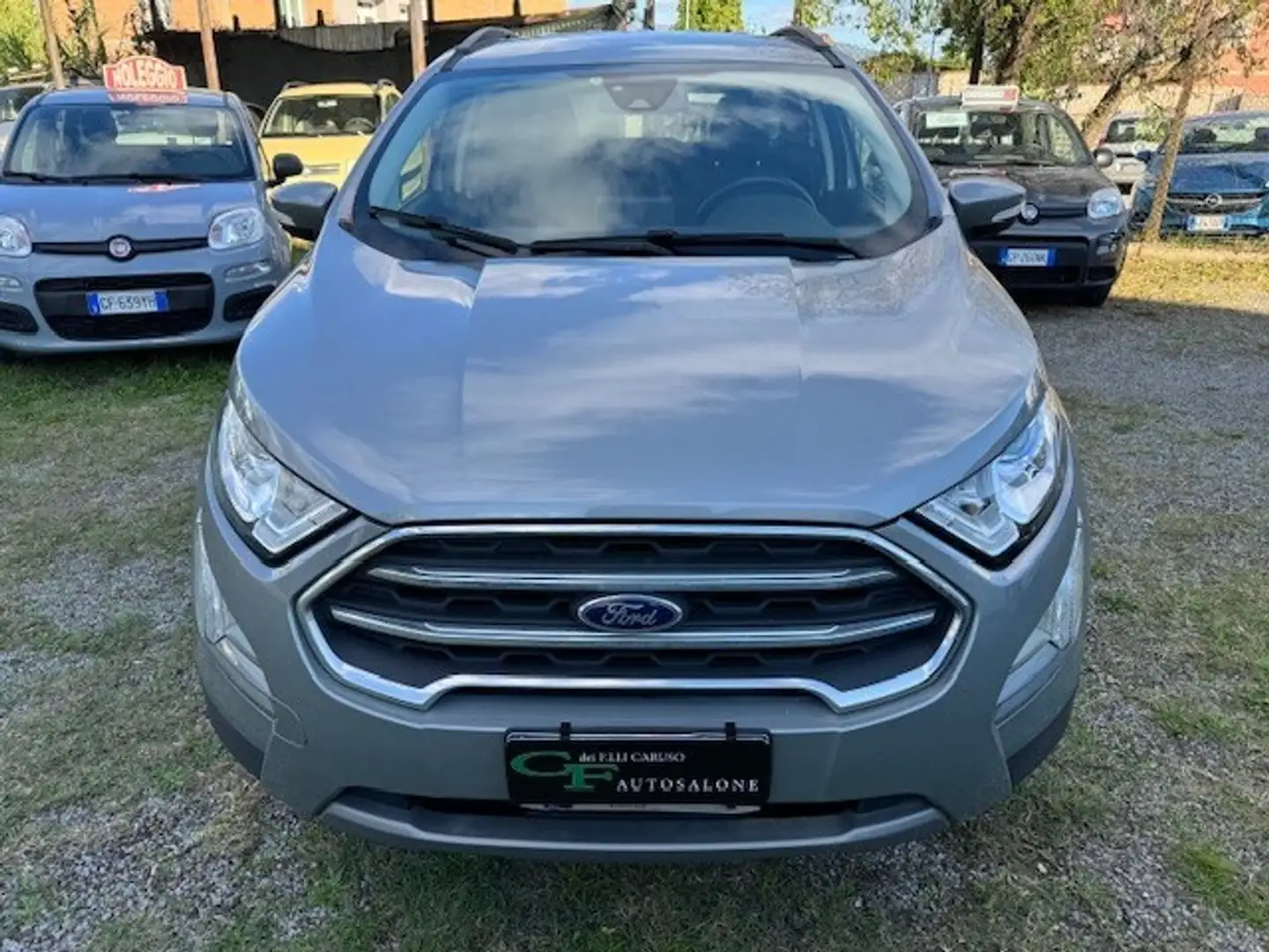 Ford EcoSport 1.0 EcoBoost 125 CV Start&Stop Titanium Grigio - 2