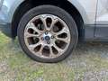 Ford EcoSport 1.0 EcoBoost 125 CV Start&Stop Titanium Grigio - thumbnail 9