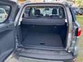 Ford EcoSport 1.0 EcoBoost 125 CV Start&Stop Titanium Grigio - thumbnail 14