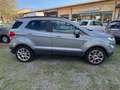 Ford EcoSport 1.0 EcoBoost 125 CV Start&Stop Titanium Grigio - thumbnail 4