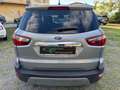 Ford EcoSport 1.0 EcoBoost 125 CV Start&Stop Titanium Grigio - thumbnail 6