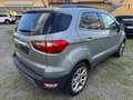 Ford EcoSport 1.0 EcoBoost 125 CV Start&Stop Titanium Grigio - thumbnail 5