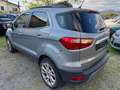 Ford EcoSport 1.0 EcoBoost 125 CV Start&Stop Titanium Grigio - thumbnail 7