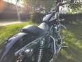 Harley-Davidson Sportster XL 883 TOP ZUSTAND - thumbnail 12