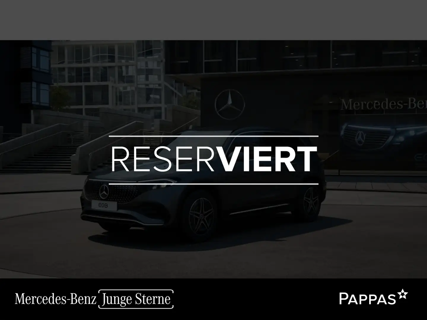 Mercedes-Benz EQB 250 + Österreich-Edition PTS Navi AUT Wide Grau - 1