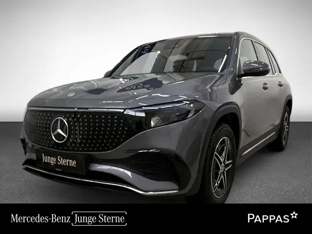 Mercedes-Benz EQB 250 + Österreich-Edition PTS Navi AUT Wide