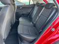 Kia Stonic 1.0 T-GDi MHEV Concept 100 Rojo - thumbnail 9
