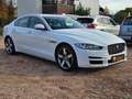 Jaguar XE 20t 200PS Prestige Automatik - thumbnail 12