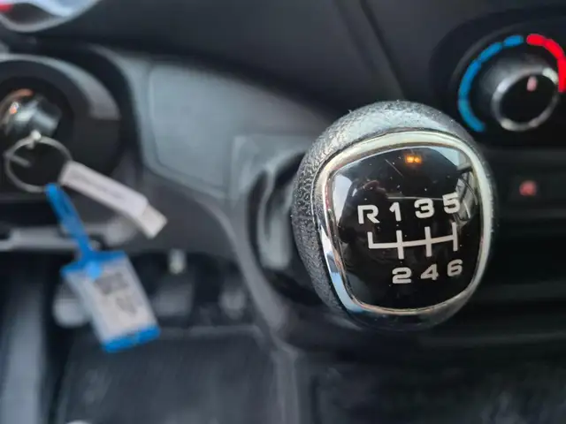 Iveco Daily view 11