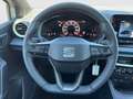 SEAT Ibiza Style Edition 1.0 TSI 95PS Grau - thumbnail 12