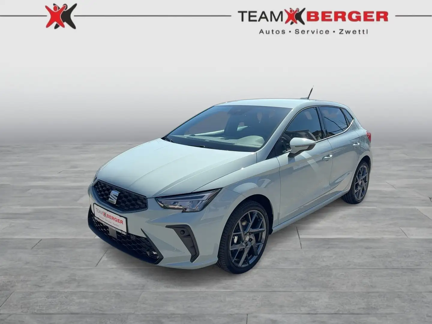 SEAT Ibiza Style Edition 1.0 TSI 95PS Grau - 1