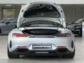 Mercedes-Benz AMG GT AMG GT C Performance ROADSTER*MAGNO*Airscarf*ACC Gris - thumbnail 22