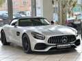 Mercedes-Benz AMG GT AMG GT C Performance ROADSTER*MAGNO*Airscarf*ACC Gris - thumbnail 1
