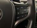 Lexus UX 250h Business Navigation 2WD Alb - thumbnail 16