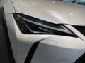 Lexus UX 250h Business Navigation 2WD Blanco - thumbnail 23
