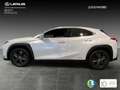 Lexus UX 250h Business Navigation 2WD Bílá - thumbnail 3