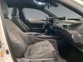 Lexus UX 250h Business Navigation 2WD Alb - thumbnail 7
