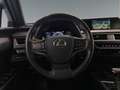 Lexus UX 250h Business Navigation 2WD Alb - thumbnail 9