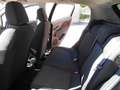 Fiat Punto Punto 5p 1.2 Young X NEOPATENTATI Blu/Azzurro - thumbnail 15