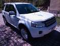 Land Rover Freelander Freelander II 2011 2.2 sd4 190cv auto Bianco - thumbnail 8