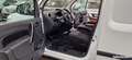 Renault Kangoo BLUE DCI 90 TVA RECUPERABLE Blanc - thumbnail 13