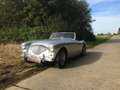 Austin-Healey 100 BN1 1954 - super good condition! Grijs - thumbnail 17