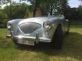 Austin-Healey 100 BN1 1954 - super good condition! Gri - thumbnail 5