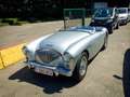 Austin-Healey 100 BN1 1954 - super good condition! Grau - thumbnail 15