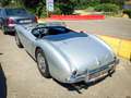 Austin-Healey 100 BN1 1954 - super good condition! Grijs - thumbnail 16