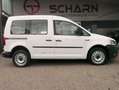 Volkswagen Caddy 4Motion,1-Hand,Garantie,Scheckheftgepf. Blanco - thumbnail 2
