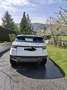 Land Rover Range Rover Evoque Prestige 2,2 SD4 Aut. Weiß - thumbnail 6
