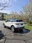 Land Rover Range Rover Evoque Prestige 2,2 SD4 Aut. Weiß - thumbnail 5