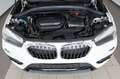 BMW X1 xDrive 18dA Navi,SH,PDC,SR+WR Bílá - thumbnail 20