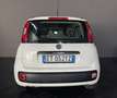 Fiat Panda 1.2 Lounge 69cv ADATTA A NEOPATENTATI - thumbnail 4