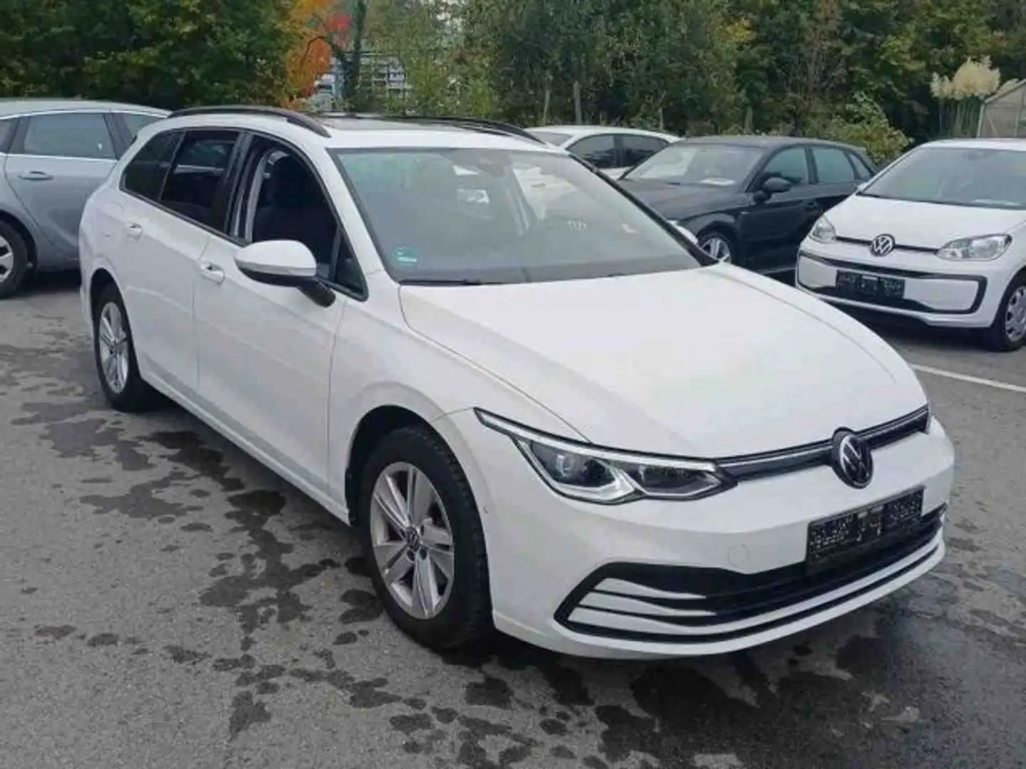 Volkswagen Golf Variant Golf VIII Variant 1.5 eTSI DSG IQ+NAVI+AHK+PANO Weiß - 2