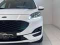 Ford Kuga 2,0 EcoBlue AWD ST-Line Aut./Head Up/ACC/LED/AHK/ Weiß - thumbnail 3