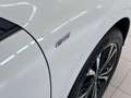 Ford Kuga 2,0 EcoBlue AWD ST-Line Aut./Head Up/ACC/LED/AHK/ Weiß - thumbnail 14